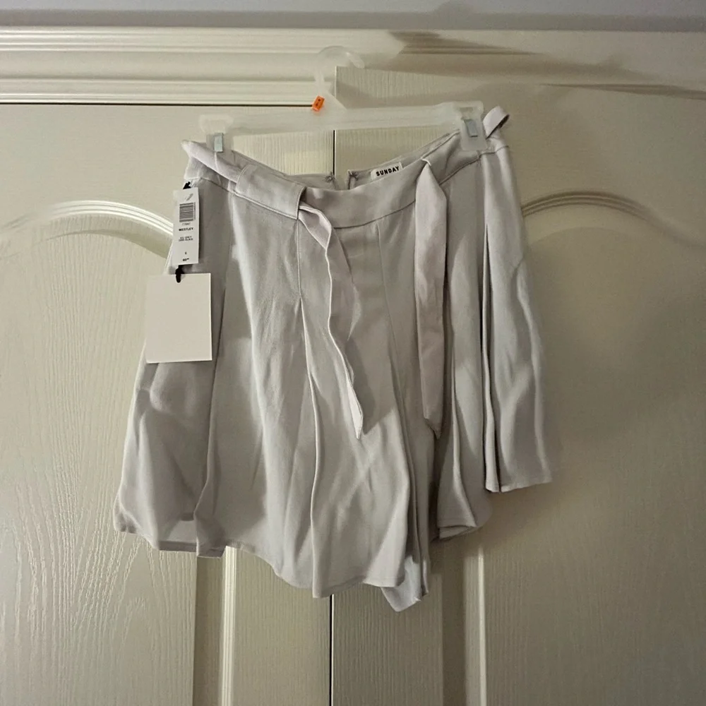 Aritiza shorts: the Wesley shorts! Colour: ice grey, size:6, BRAND NEW, TAGS ON - Picture 2 of 4